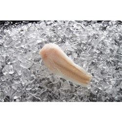 I&J 4/6 SKINLESS HAKE PIN BONE OUT 2 X 5KG