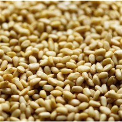 CHEFMASTER PINENUTS 1KG