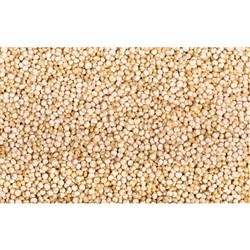 CHEFMASTER WHITE QUINOA 1KG