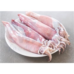 SEVEN SEAS U/10 WHOLE CLEANED SQUID 6 X 2KG