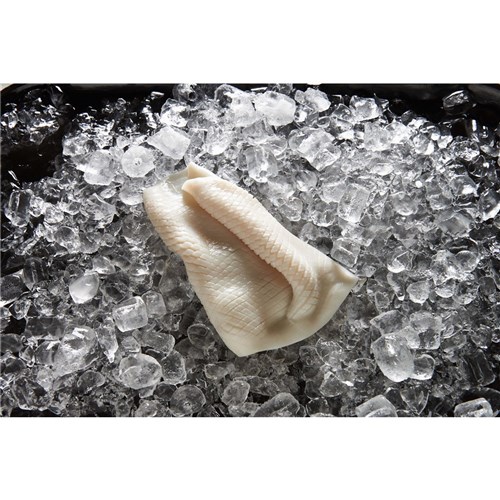 TOPSAIL PINEAPPLE CUT SQUID FILLET 5KG